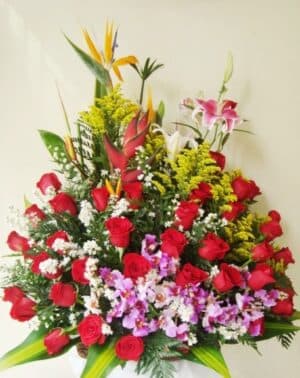 DISEÑO ARMONIA EN ROSAS