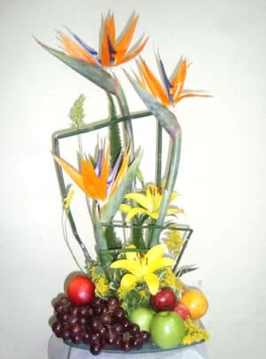FRUTERO 
