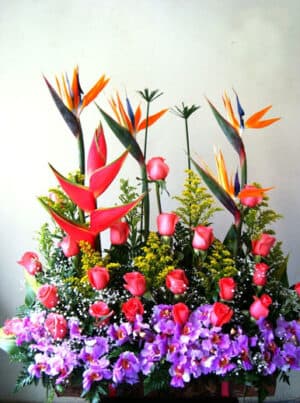 HOMENAJE PRIMAVERA 