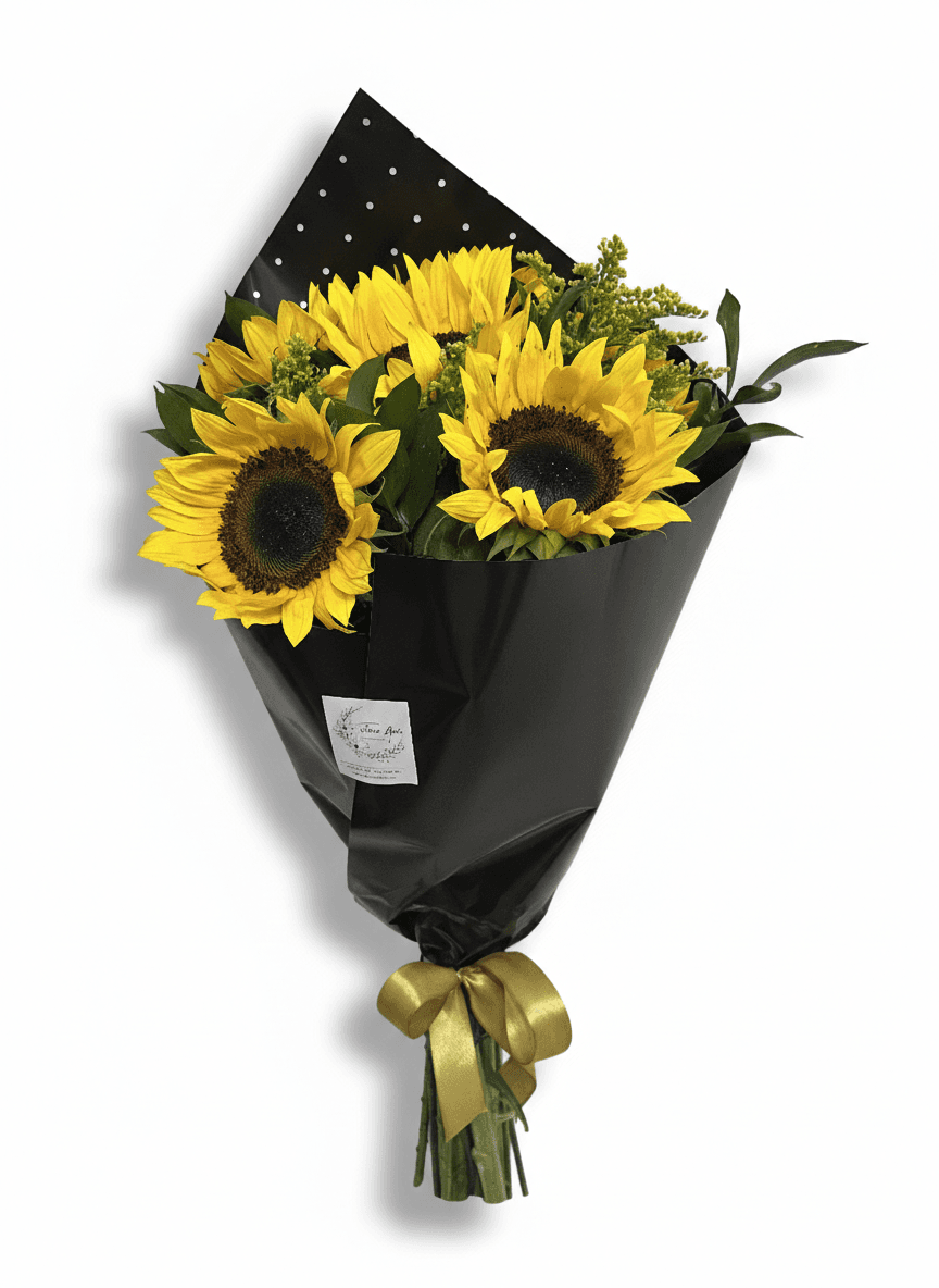 Sol de Medianoche